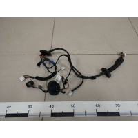 Проводка двери Kia Kia Sorento (XM) 2009> 916502P030