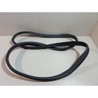 Уплотнитель двери Renault Arkana 2019 769239106R