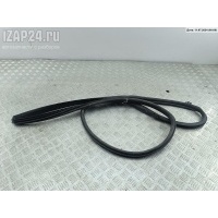 Уплотнитель двери передней правой Chrysler Voyager (2001-2007) 2007 04894278AB