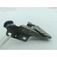 Петля капота правая Renault Laguna II (2001-2007) 2005 418249