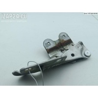 Петля капота левая Renault Laguna II (2001-2007) 2005 418248