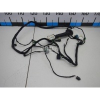 Проводка (коса) Chery Exceed TXL 2020 806002590AA