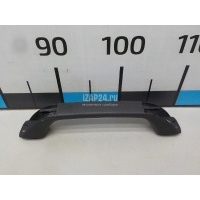 Ручка внутренняя потолочная MAN TGX (2014 - 2021) 81629305176