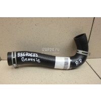 Шланг воздушный Hyundai-Kia GV70 2020 282842T002