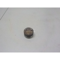 Пробка маслосливная дифференциала VAG Leon (1M1) (1999 - 2006) WHT001937