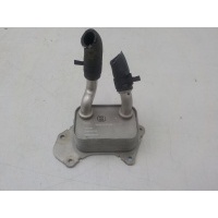 Радиатор масляный (ДВС, КПП, ГУР) Omoda C5 2022- F4J161013010DA