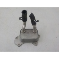 Радиатор масляный (ДВС, КПП, ГУР) Omoda C5 2022- F4J161013010DA
