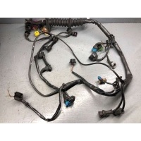 Проводка двигателя Volkswagen Passat B5 1995 8D1971072