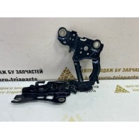 Петля капота BMW 3 G20 2018-2022 41008494431
