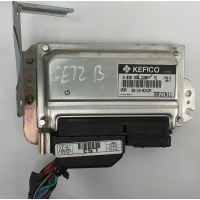 KOMPUTER SILNIKA HYUNDAI GETZ 1.1 39110 - 02425