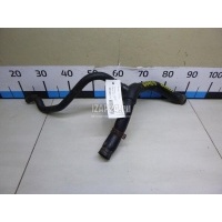 Патрубок радиатора Renault Kangoo (2003 - 2008) 7700834887