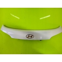 Накладка диафрагма крышки багажника под камеру лак tcw hyundai ix35 2011 год