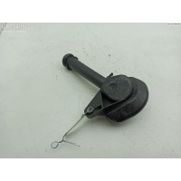 Горловина маслозаливная Renault Clio III (2005-2012) 2005 8200323344