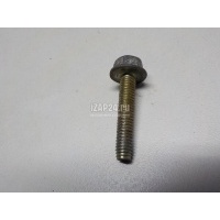 Болт Renault Megane II (2003 - 2009) 7703020041