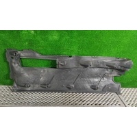 Защита днища Volkswagen Passat B6 2007 3C0 825 202 E, 3C0825202F