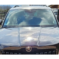 Skoda kodiaq стекло стекло солнечная составляет камера сенсор 565845011d