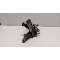 Кулак поворотный передний правый Hyundai-Kia Sportage (2004 - 2010) 517162E100