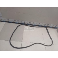 Уплотнитель двери Hyundai-Kia RIO (2005 - 2011) 831301G000