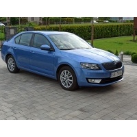 Skoda октавия 1.6 tdi active , 2015 , 178 000 л.с. , 1 598 cm3 , дизель
