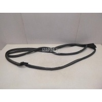 Уплотнитель стекла двери VAG Q7 [4L] (2005 - 2015) 4L0837440B