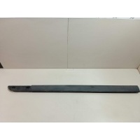 Молдинг передней левой двери Renault Scenic II (2003 - 2009) 7701474984