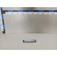Успокоитель Nissan Navara (D40) (2005 - 2015) 13085EB300