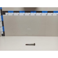Болт переднего рычага Nissan Navara (D40) (2005 - 2015) 01125S212E