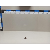 Гайка Nissan Navara (D40) (2005 - 2015) 01223S203E