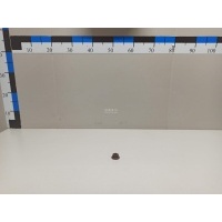 Гайка Nissan Navara (D40) (2005 - 2015) 01223S203E