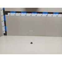 Гайка Nissan Navara (D40) (2005 - 2015) 01223S203E
