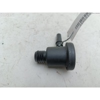 Клапан воздушный Citroen C5 (2001-2008) 2005 0204221955