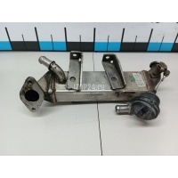 Радиатор системы EGR Renault X-Trail (T31) (2007 - 2014) 8200719993