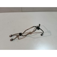 Трубка ТНВД Citroen-Peugeot Berlingo (M59) (2002 - 2012) 1570G4