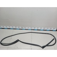 Уплотнитель двери Nissan X-Trail (T31) (2007 - 2014) 82830JG000