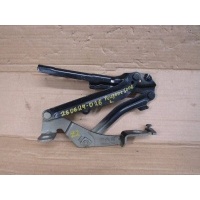 Петля капота левая Peugeot 5008 2 2020 9814189880
