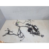 Проводка (коса) Ford Focus 3 1881902