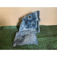 защита Mercedes-Benz CLK 500 w209 2002 A2098840322