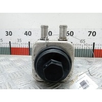 Теплообменник Volkswagen Bora(Jetta) (1998-2005) 2000 078117021A,078117021A