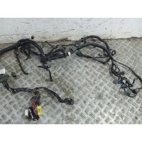 Проводка двигателя ОБРЕЗАНА 1 ФИШКА. QG16DE , 5МКПП. Nissan Primera P12 2005 24011-AV065