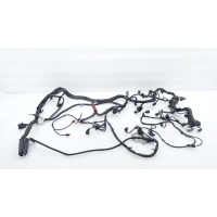 Проводка двигателя Mercedes-Benz GL-Class X164 2012 A6421500856, A1645403230