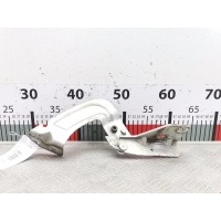 Петля капота левая Renault Kangoo 1 (1997-2007) 2003 ,7700302753