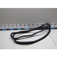 Уплотнитель багажника VAG Tiguan (2007 - 2011) 5N0827705A