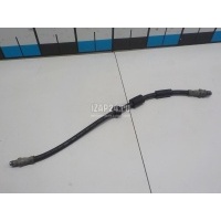 Шланг тормозной передний Ford Kuga (2008 - 2012) 1501839