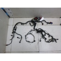Проводка (коса) Ford Kuga (2008 - 2012) 1680862