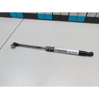 Амортизатор капота BMW X1 E84 (2009 - 2015) 41612990344