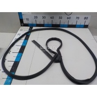 Уплотнитель двери Mazda Mazda 3 (BL) (2009 - 2013) BBN973760D