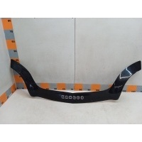 Дефлектор на капот Renault Kangoo 1, KC 2007 RL31