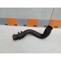 Патрубок радиатора Renault Kangoo 1 2007 7700834886