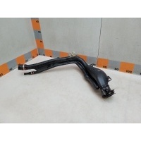 Горловина топливного бака Renault Kangoo 1 2007 7700313764