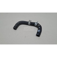 Шланг системы охлаждения Hyundai-Kia Soul (2009 - 2014) 254692B200